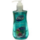 Dial Hand Soap