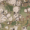 Terrain